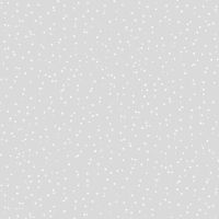 dsStella-DNS3601 FOG